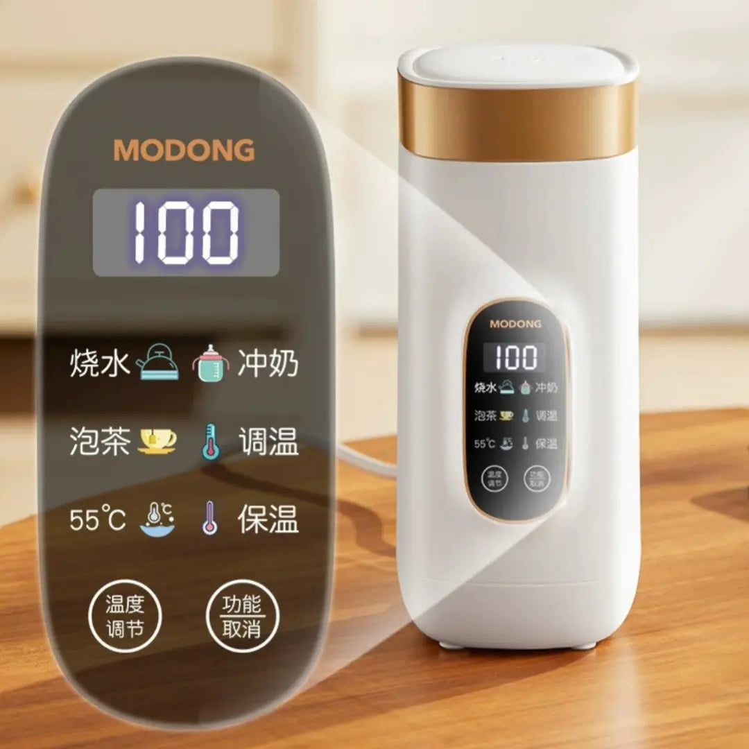 Electric Stainless Bottle